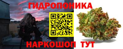 шишки Балашиха