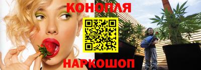 прущие грибы Балаково