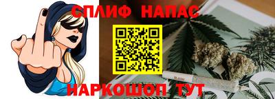 шишки Балашиха
