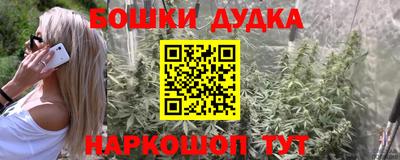 шишки Балашиха