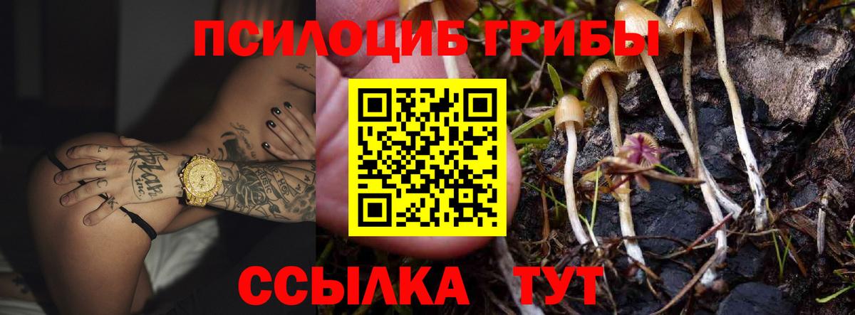 Галлюциногенные грибы MAGIC MUSHROOMS Горячий Ключ